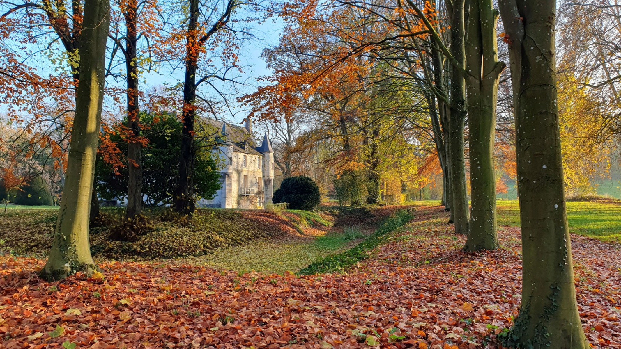 Château