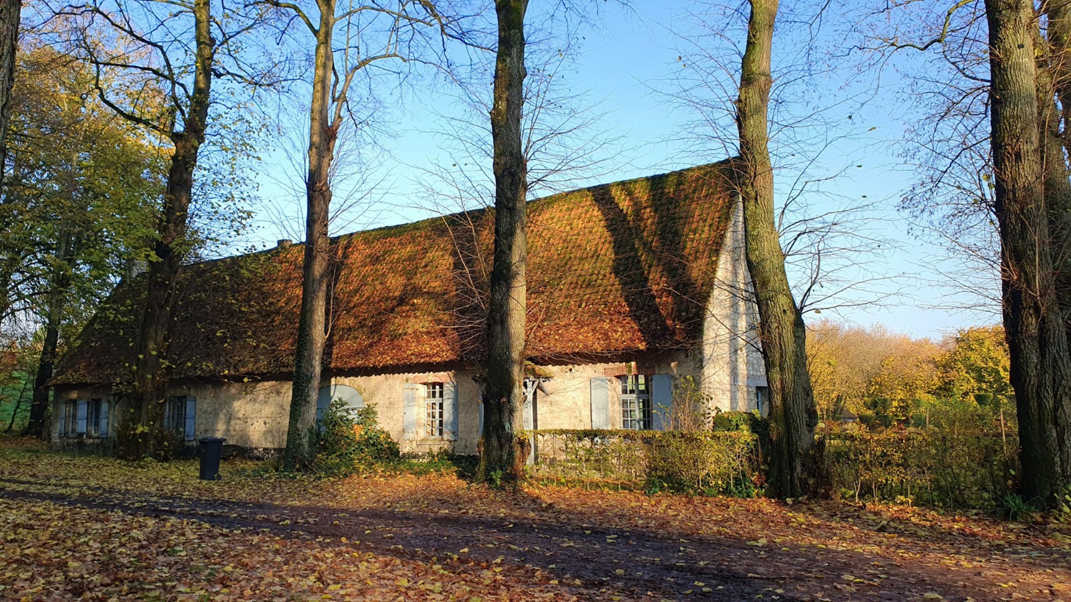 Château