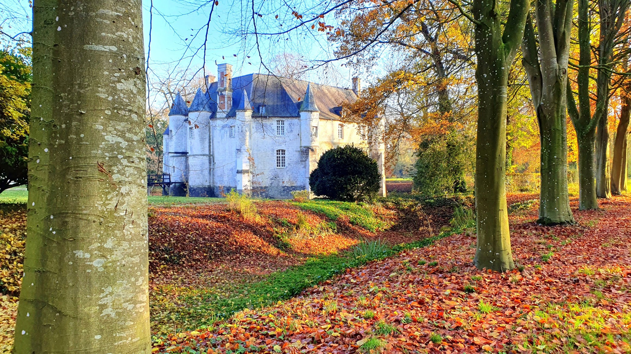 Château